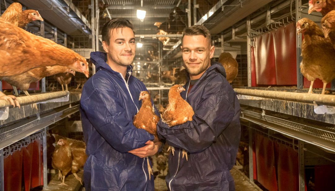 Griffiths Family Farms Shropshire Family Farming Since 1956