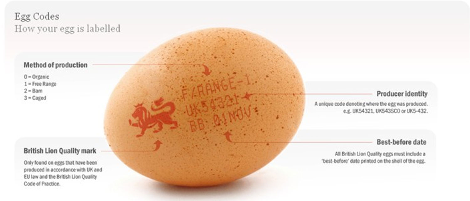 This egg перевод