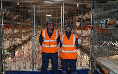 BBC Food & Farming Awards finalist: Griffiths Eggs – On Your Farm – Radio 4