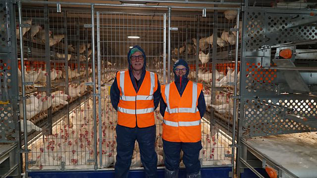 BBC Food & Farming Awards finalist: Griffiths Eggs - On Your Farm - Radio 4